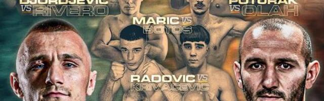 SPEKTAKL! Ovo su sve borbe na Balkan Boxing 7 u Boru: Almir Memić juri istorijski nokaut u glavnom meču večeri