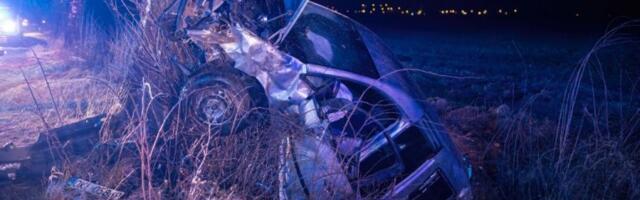 DETALJI STRAVIČNE SAOBRAĆAJKE LEDE KRV U ŽILAMA! Glumica i sedmoro dece hitno hospitalizovani, POZNATO STANJE učesnika!