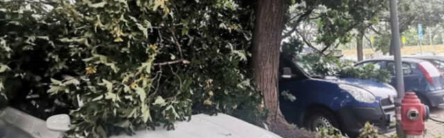 После јаког ветра на истоку Словеније метеоролози поново најављују невреме