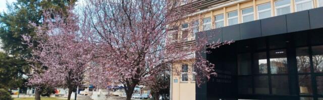 POVRATAK MRAZA U PARAĆIN: Građani se ponovo greju i prate prognozu Dikića
