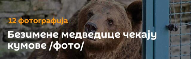 Безимене медведице чекају кумове /фото/