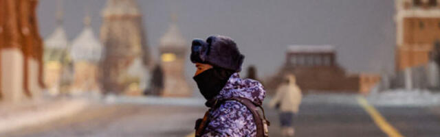 Кокаин сакривен у контејнеру: руска царина разбила шверцерску руту