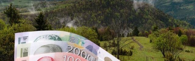 Mala investicija, velika dobit: Ova biljka donosi odličnu zaradu – raste i na balkonu