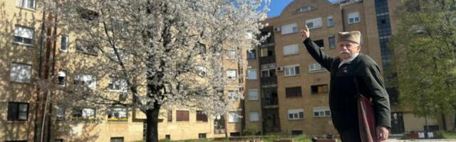 "JOŠ 3 DA PORASTE PA ĆE PREĆI ZGRADU" Mirko iz Čačka posadio trešnju pre 33 godine, otad je prati koliko je narasla, sad ima 24 metra! (FOTO)