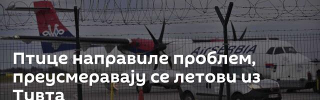 Птице направиле проблем, преусмеравају се летови из Тивта