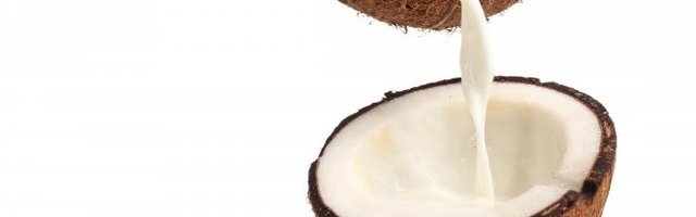 KOKOS JE MAGIČNA BILJKA! Evo šta sve leči i zbog čega treba da ga uvrstite u svakodnevnu ISHRANU