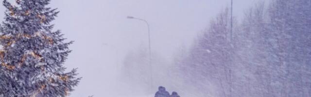 Олуја „Јоханес” погодила Шведску, више од 40.000 домаћинстава без струје