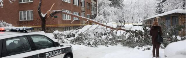 Poznat identitet žene koju je ubilo drvo u Sarajevu: Majda iza sebe ostavila dvoje dece