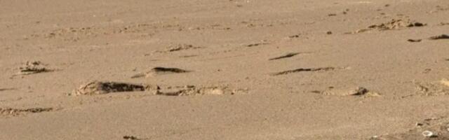 MISTERIOZNE LOPTE SE POJAVILE NA PLAŽAMA! Naučnici sumnjaju da su stigle iz svemira!