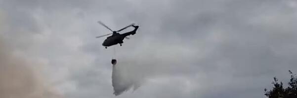 Požar u Deliblatskoj peščari – u akciji gašenja i helikopter “super puma”