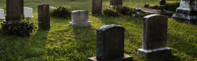 Smrt je jedini siguran posao?