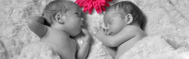 Slavonsko selo je oaza blizanaca: "Kroz istoriju su se ovde rodila 304 para blizanaca, i mi smo deo toga"