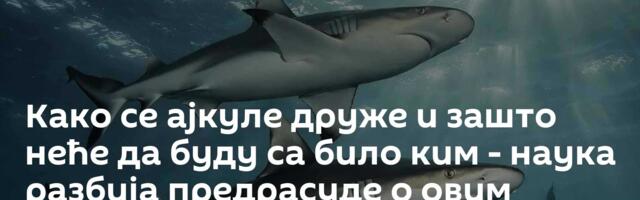 Како се ајкуле друже и зашто неће да буду са било ким - наука разбија предрасуде о овим предаторима