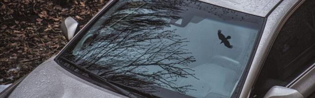 Mnogi ne znaju čemu služe crne tačkice na šoferšajbni, a veoma su korisne