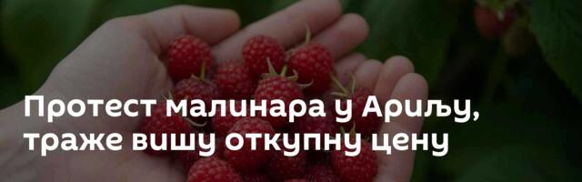 Протест малинара у Ариљу, траже вишу откупну цену