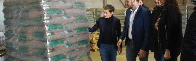 Energenti: Zašto i gde nema peleta