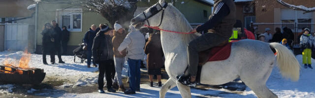 Ви­ја­ње Бо­жи­ћа на Са­лај­ци