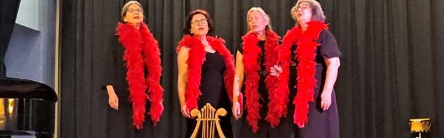 Naše sugrađanke pobrale aplauze u Hrvatskoj: Zlatna nagrada za kvartet Vita Brevis