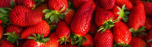 Kako pravilno oprati jagode? Očistite ih od pesticida za tren - 1 sastojak je ključan