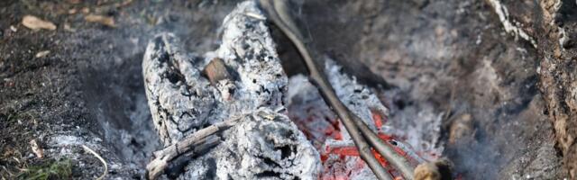 Roštilj koji će vam presesti: Ako uradite OVO za 1. maj, vaši džepovi će ostati PRAZNI