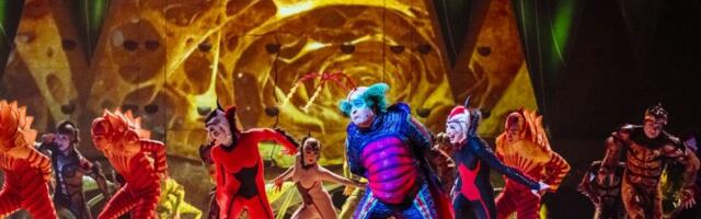 Igrači Cirque du Soleil-a: U predstavi "OVO" osetićete energiju i ljubav