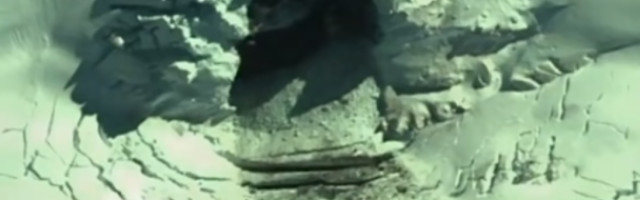 Na snimcima se može videti do čega su to došli (VIDEO)