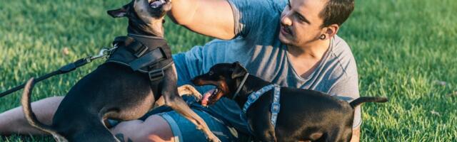 Najveća greška koju pravite pri treningu pasa