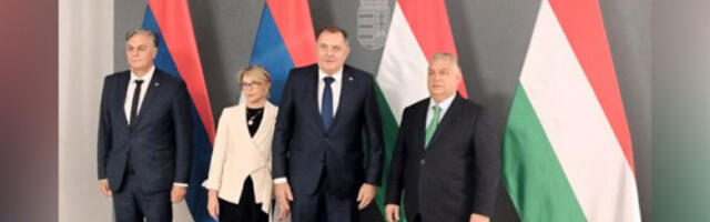 Пријем у Будимпешти организовали званичници Српске у знак захвалности