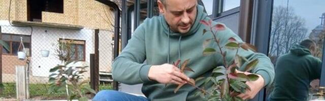 Široko si, Lazerevo carstvo: Ko bi rekao da ovo uspeva u Rasini