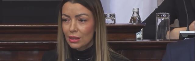 Mesarović: Opremanje industrijskih zona i parkova smo predvideli i u Beogradu, Leskovcu, Vranju…