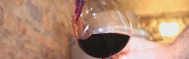 Vinski turizam nova razvojna šansa Balkana: Vino je postalo zaštitni znak Srbije