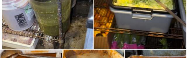 Ušunjala se u ostavu restorana, a od prizora joj se stomak okrenuo: Horor video kruži mrežama