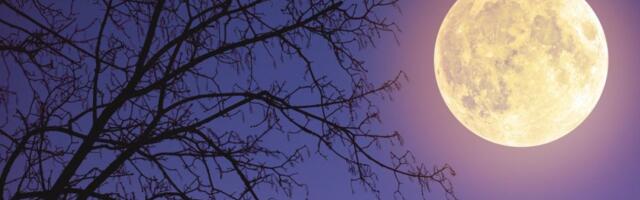 Dnevni horoskop za subotu 14. februar: Rakovima uspeh na poslu, Strelčevi ostavljaju prošlost iza sebe