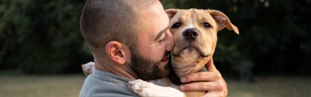 Čovek kupio štene misleći da je staford: Nije mogao da veruje u šta je izrastao (VIDEO)