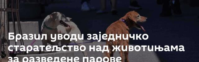 Бразил уводи заједничко старатељство над животињама за разведене парове
