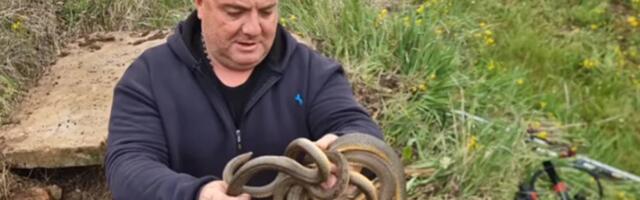 "Pazi, izede te!": Vladicu ujela zmija, pa izvukla deblji kraj (VIDEO)