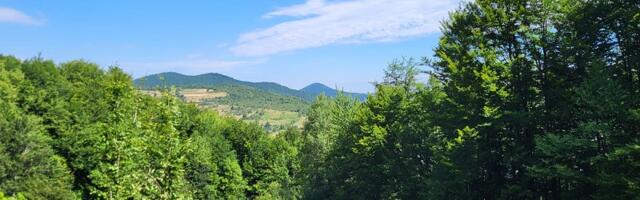 Jutro sveže i sunčano, popodne naoblačenje i lokalni pljuskovi