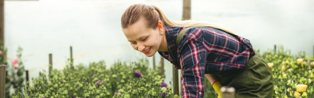 BIZNIS: Šansa preduzetnicama na selu