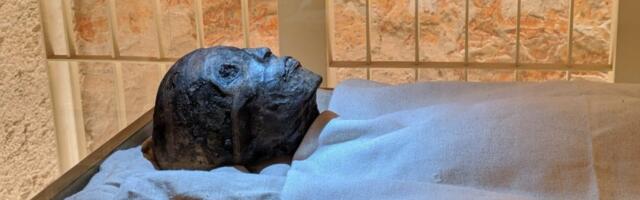 (FOTO) Užas: Masakrirana Tutankamonova mumija! Veliki faraon varvarski obezglavljen - Umesto trijumfa nauke usledio je talas sramote