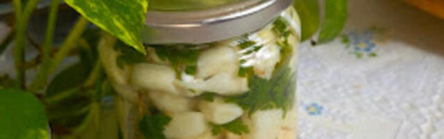 MARINIRANI BELI LUK KAO NARODNI LEK ZA ŽLEZDE I PRITISAK: Bakin recept za salatu koja čuva zdravlje