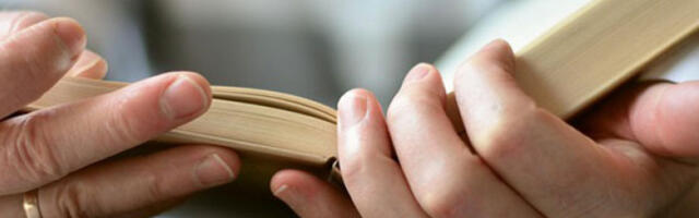 Мајстор ироније и сумње