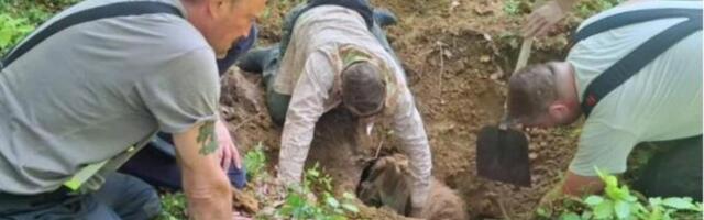ZEMLJA PROGUTALA KOBILU I NJENOG VLASNIKA! Jahali kroz šumu, pa upali u jamu duboku preko 3 metara, nastao haos