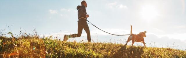 Kako da budete u formi bez odlaska u teretanu