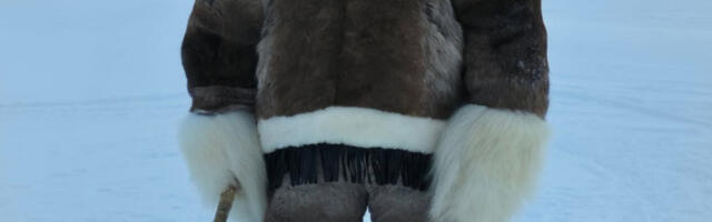 Polarni Zlatan - Slavni Šveđanin okružen ledom i čoporom pasa (FOTO/VIDEO)