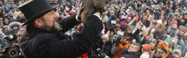 Половина мрмота најављује крај зиме, половина наставак