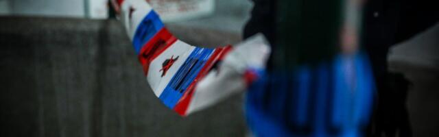 NARUČIO UBISTVO SESTRE ZBOG MILION EVRA, PA PLAKAO NA NJENOJ SAHRANI: Slavici upali u dom, OBMOTALI GLAVU U ĆEBE i ispalili 3 hica u glavu