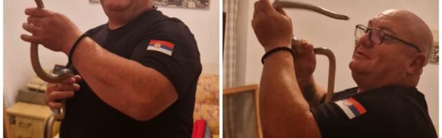Nema ih više samo u šupama, sad ulaze i u sobe! Vladica Stanković intervenisao u kući kod Niša: Ako vidite ovu životinju, zmija vam je blizu!