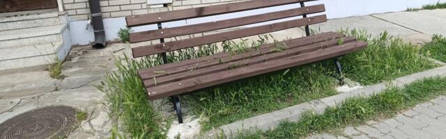 Milan Milosavljević: Grad zapušten, JKP Šumadija u krizi a nabavlja vozilo „crno metalik“