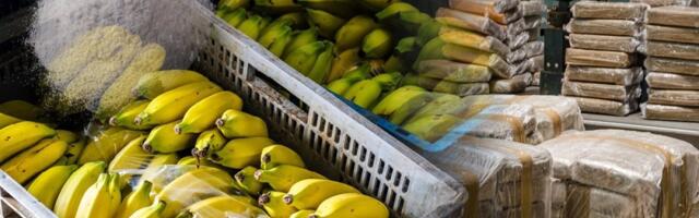 Kokain vredan 50 miliona evra sakrio u banane: Skaj aplikacija razotkrila kriminalnu grupu