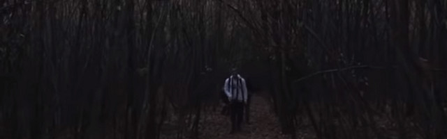 Šetala je stazom kada je na drveću uočila zapanjujuću scenu, niko ne zna o čemu je reč (VIDEO)